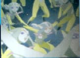 Blue Submarine Nr 6