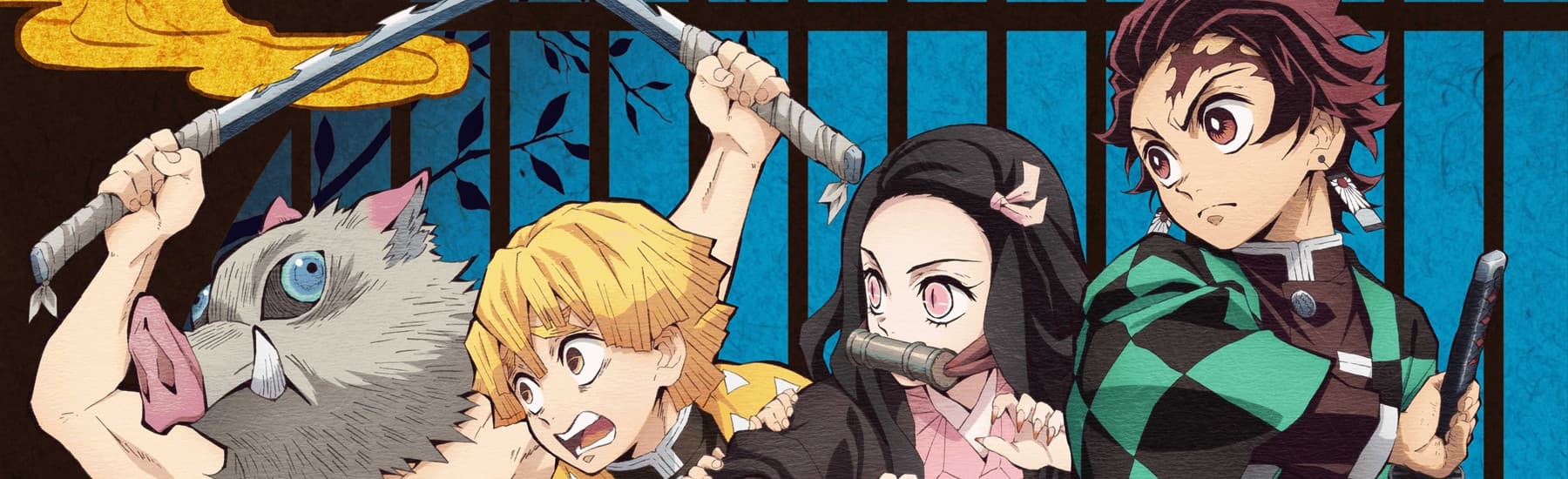Demon Slayer Kimetsu no Yaiba