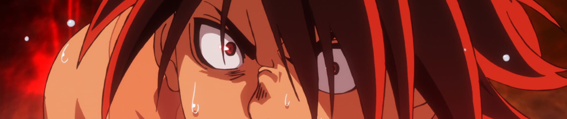 Hinomaru Zumou
