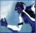 Neon Genesis Evangelion