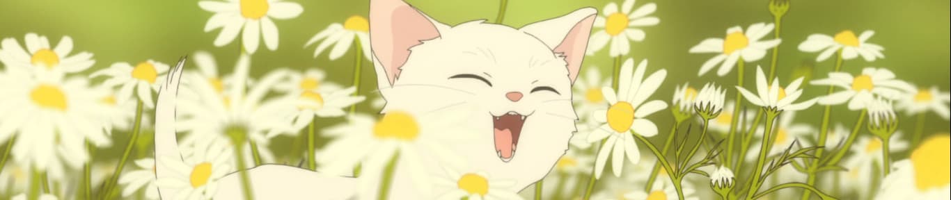 Quand Takagi me Taquine Le Film