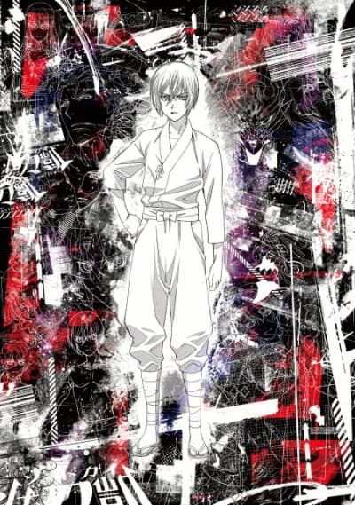 Swordgai the animation